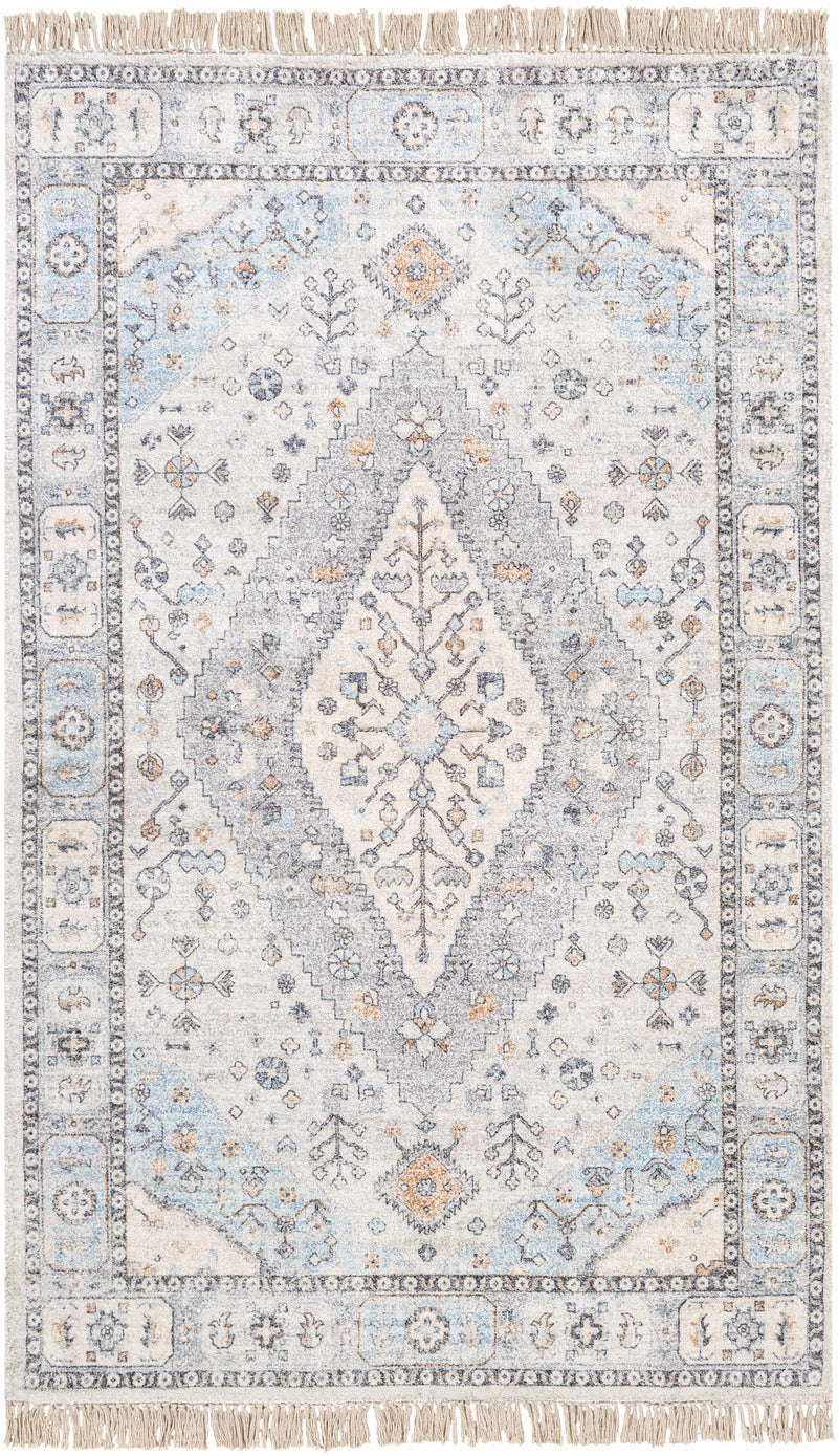 Gray Hand Woven 40% Viscose, 35% Polyester, 25% Cotton Traditional Rectangle Handmade rug, Indoor use only, has fringe, non-washable.