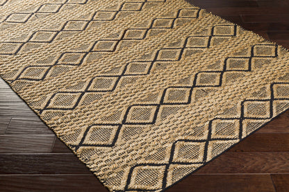Santa Barbara SBB-2313 Hand Woven Rug