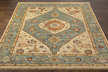 Biscayne BSY-2301 Hand Knotted Rug