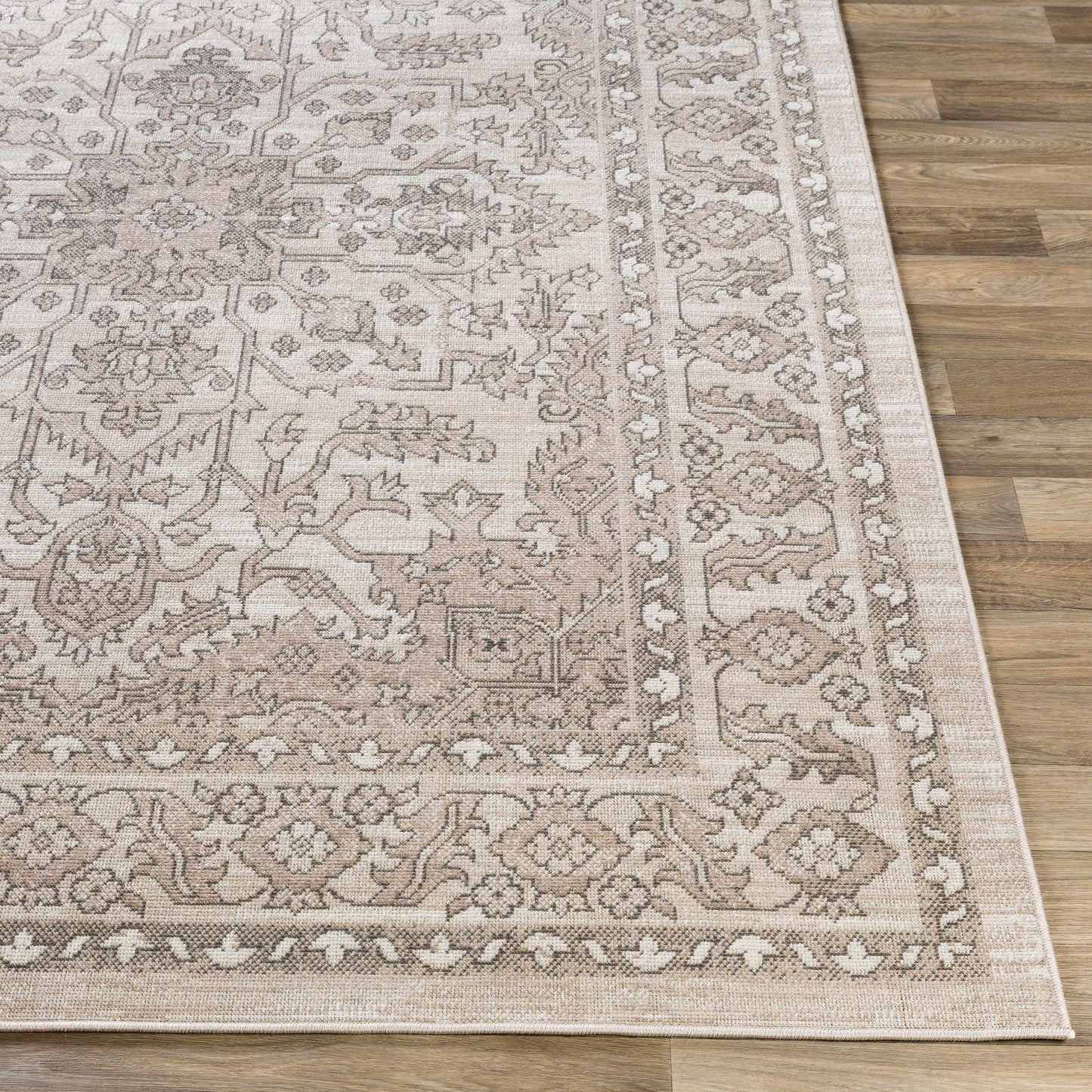 Rafetus ETS-2337 Machine Woven Rug