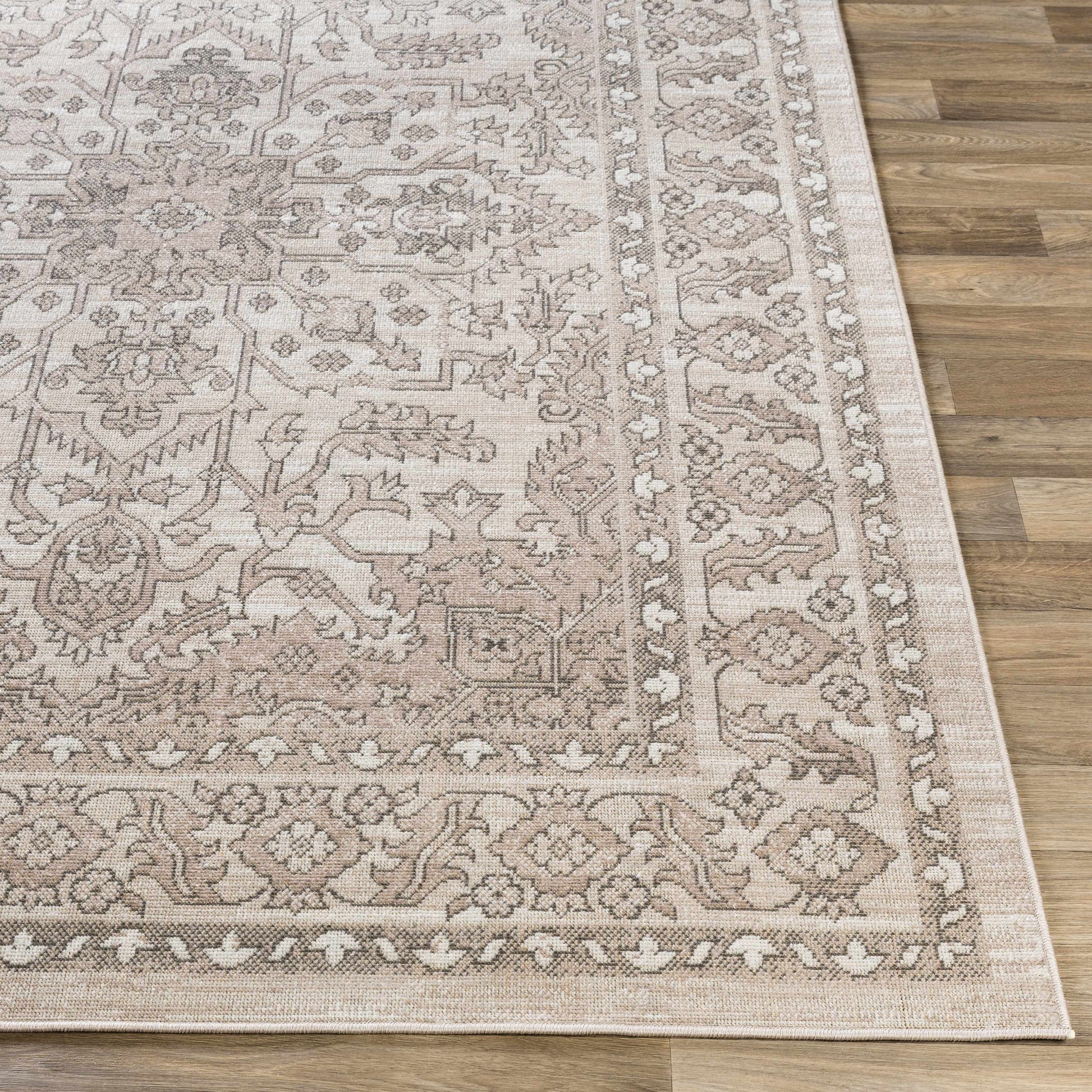 Rafetus ETS-2337 Machine Woven Rug