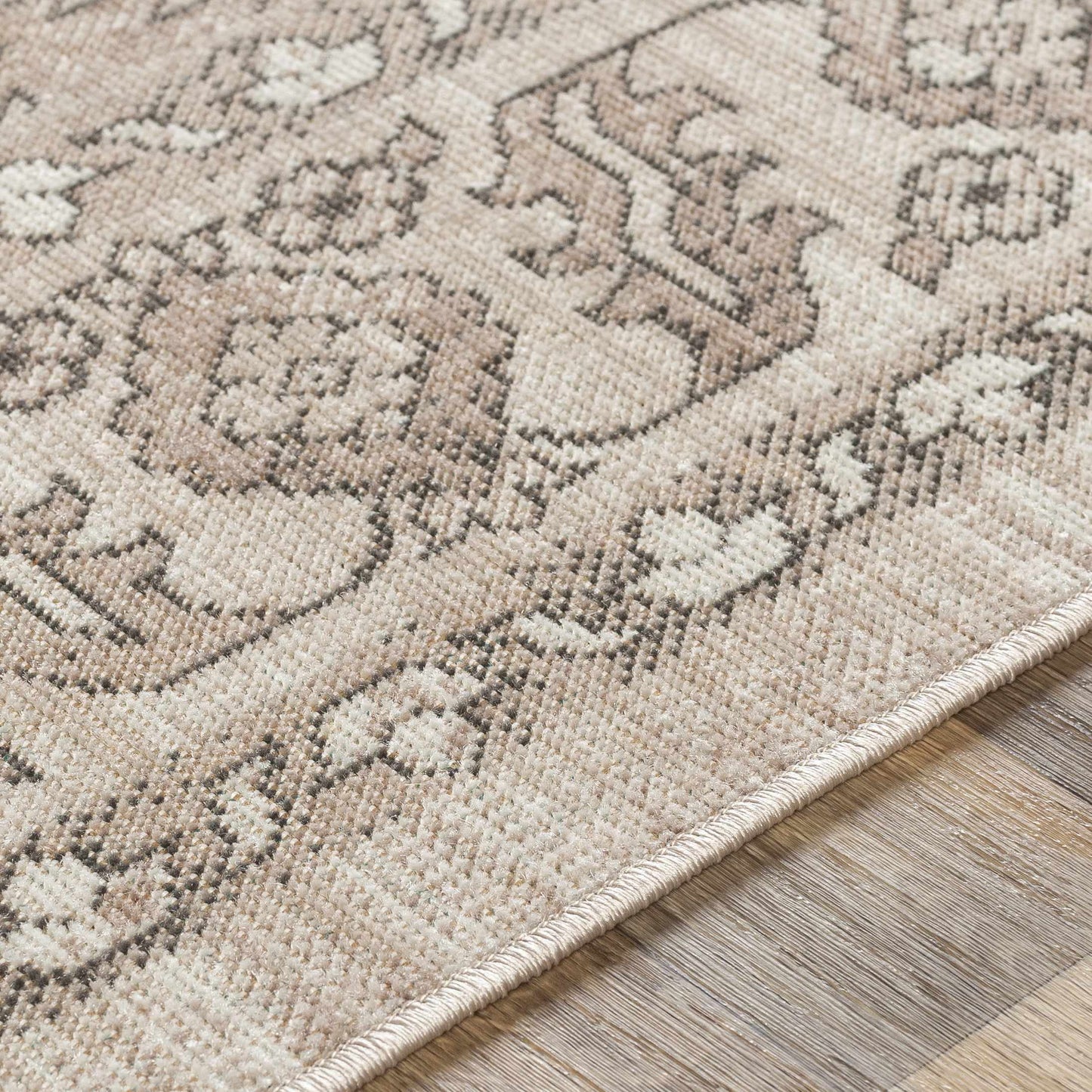 Rafetus ETS-2337 Machine Woven Rug