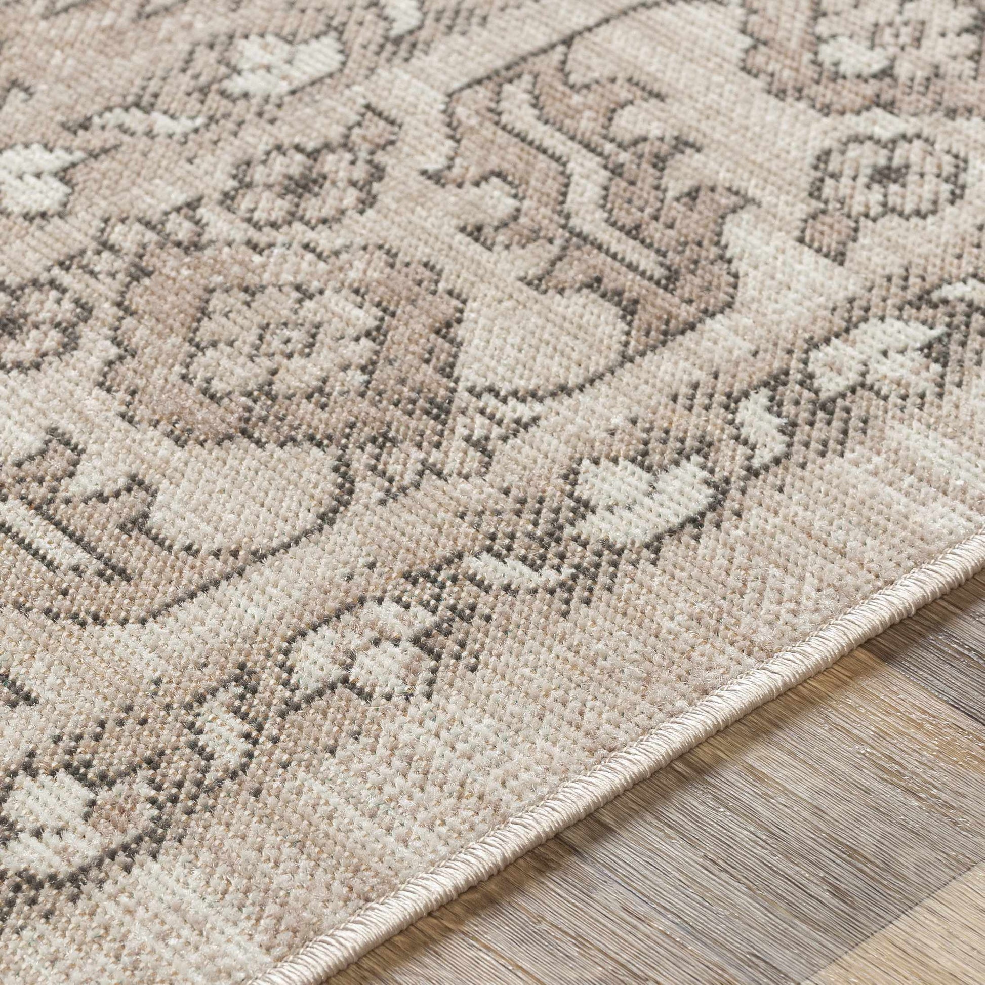 Rafetus ETS-2337 Machine Woven Rug