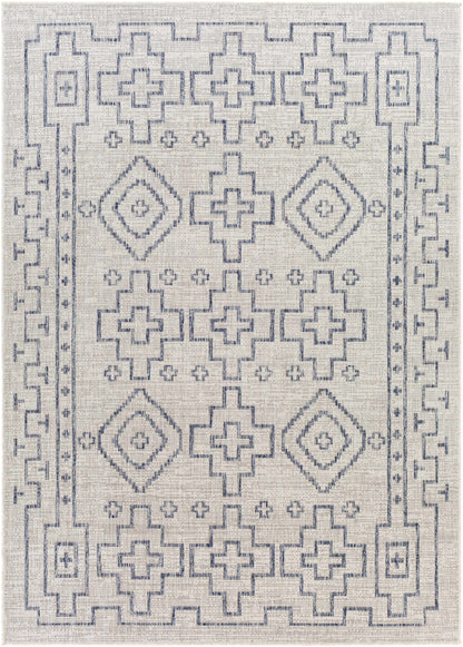 Tuareg TRG-2316 Machine Woven Rug