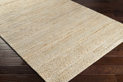 Trace TCE-2303 Hand Woven Rug