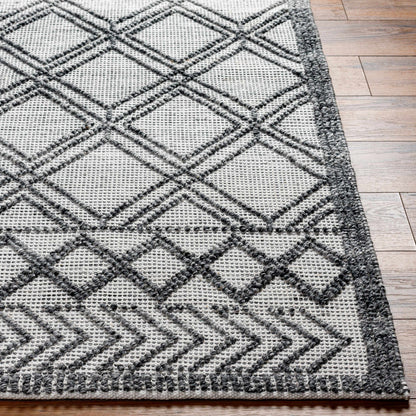 Napoli NPO-2309 Hand Woven Rug