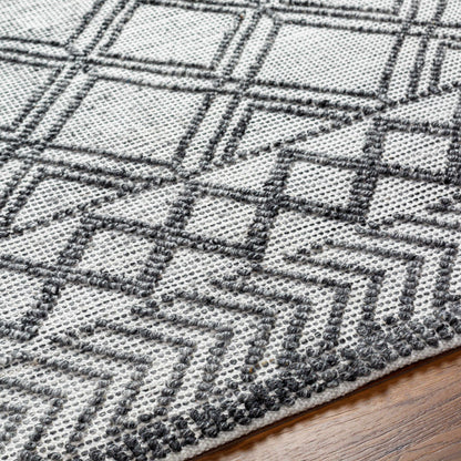 Napoli NPO-2309 Hand Woven Rug