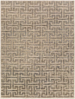 Papyrus PPY-4907 Hand Knotted Rug