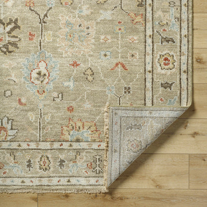 Biscayne BSY-2314 Handmade Rug