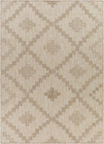 Tuareg TRG-2325 Machine Woven Rug