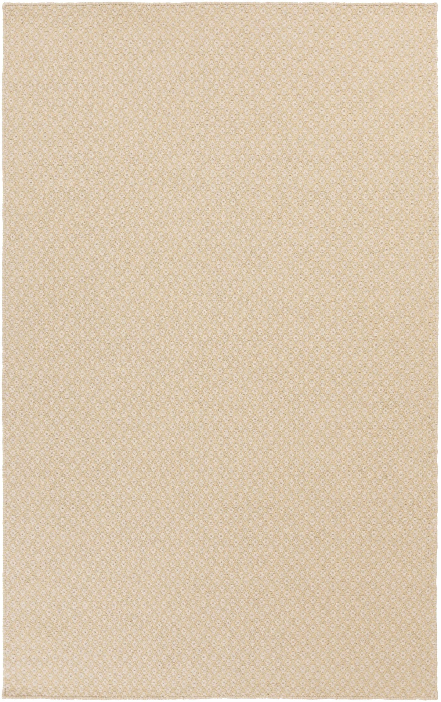 Ravena RVN-3116 Hand Woven Rug