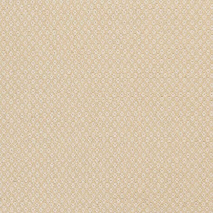 Ravena RVN-3116 Hand Woven Rug