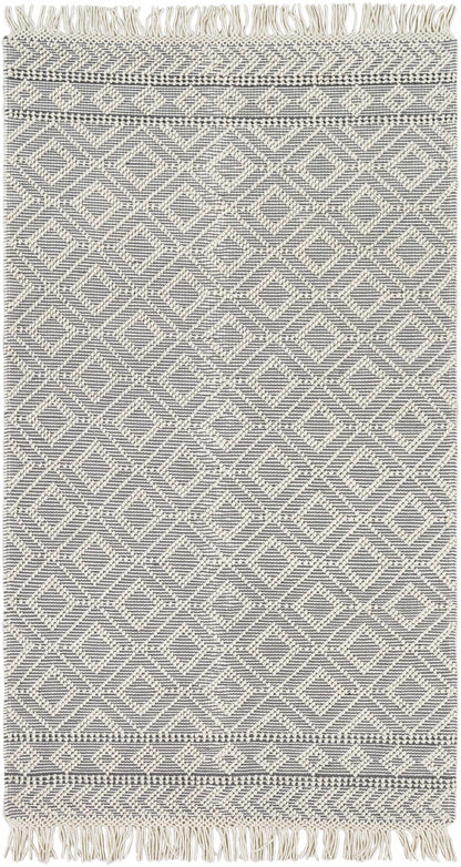 Farmhouse Tassels FTS-2303 Hand Woven Rug