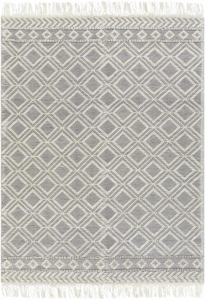 Farmhouse Tassels FTS-2303 Hand Woven Rug