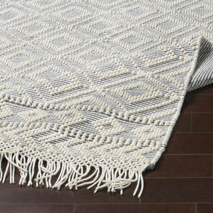 Farmhouse Tassels FTS-2303 Hand Woven Rug