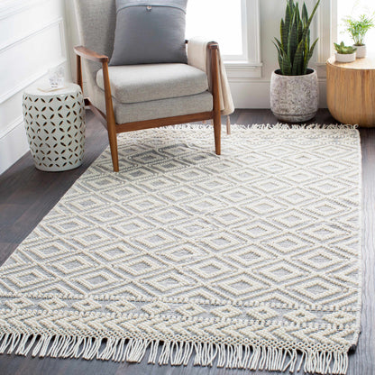 Farmhouse Tassels FTS-2303 Hand Woven Rug