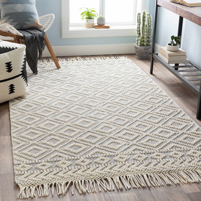 Farmhouse Tassels FTS-2303 Hand Woven Rug