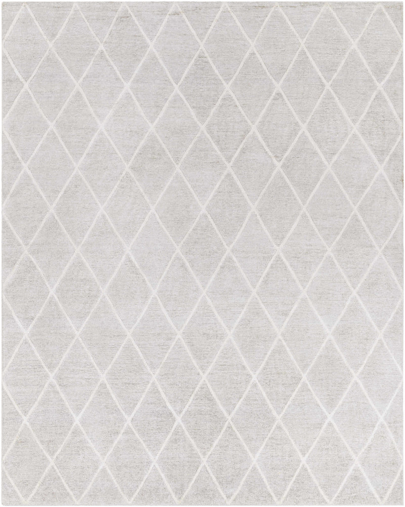 Light Gray Hand Knotted 100% Viscose Modern Rectangle Handmade rug, Indoor use only, no fringe, non-washable.