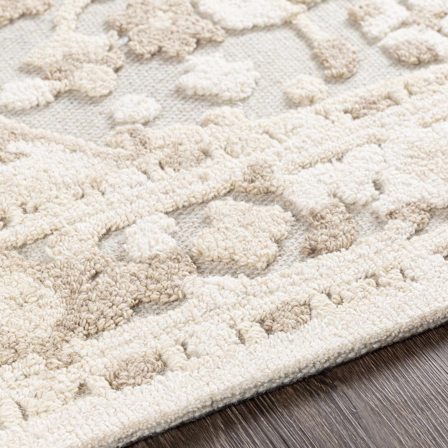 Oakland OAA-1005 Hand Tufted Rug