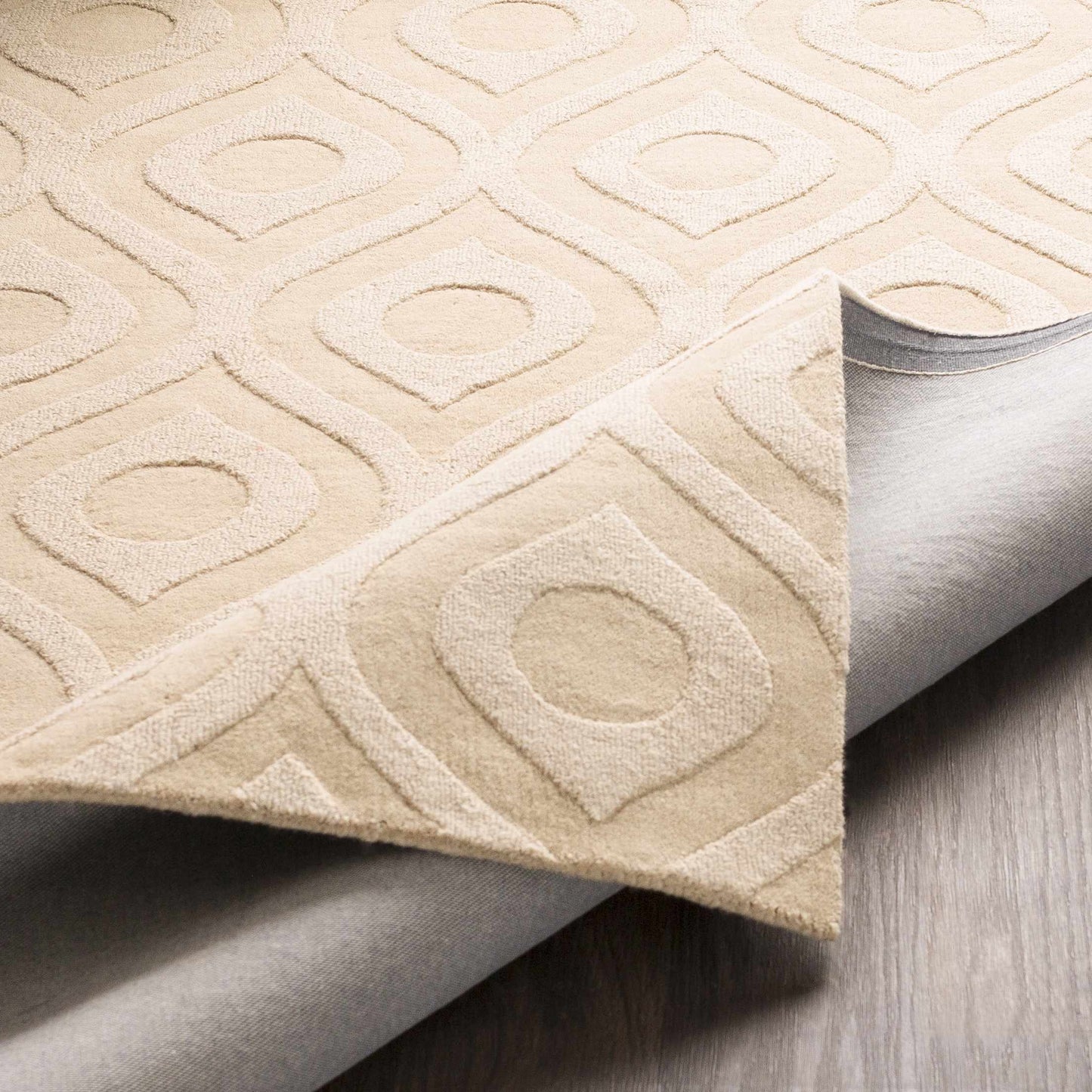 Central Park AWHP-4005 Hand Loomed Rug