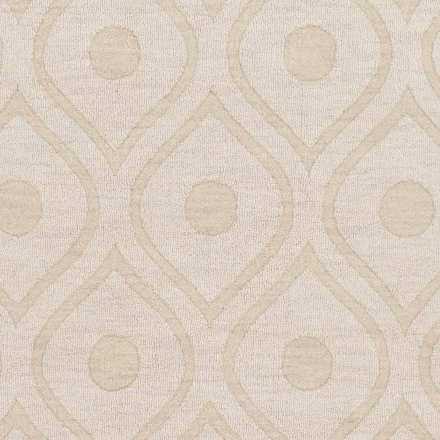 Central Park AWHP-4005 Hand Loomed Rug