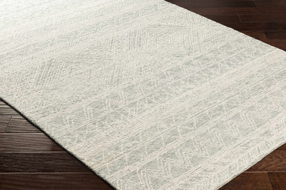Newcastle NCS-2312 Hand Tufted Rug