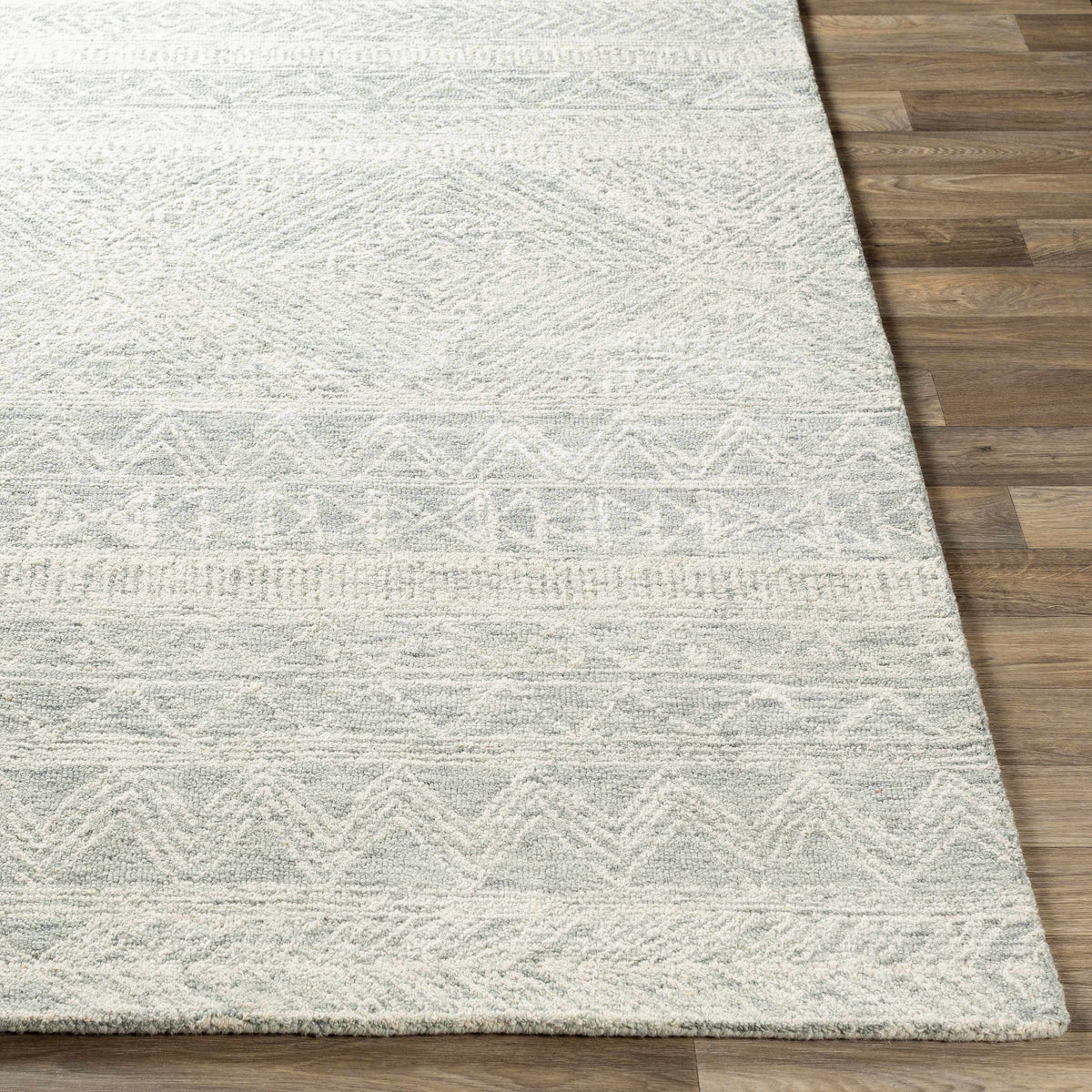 Rugs : NCS-2312