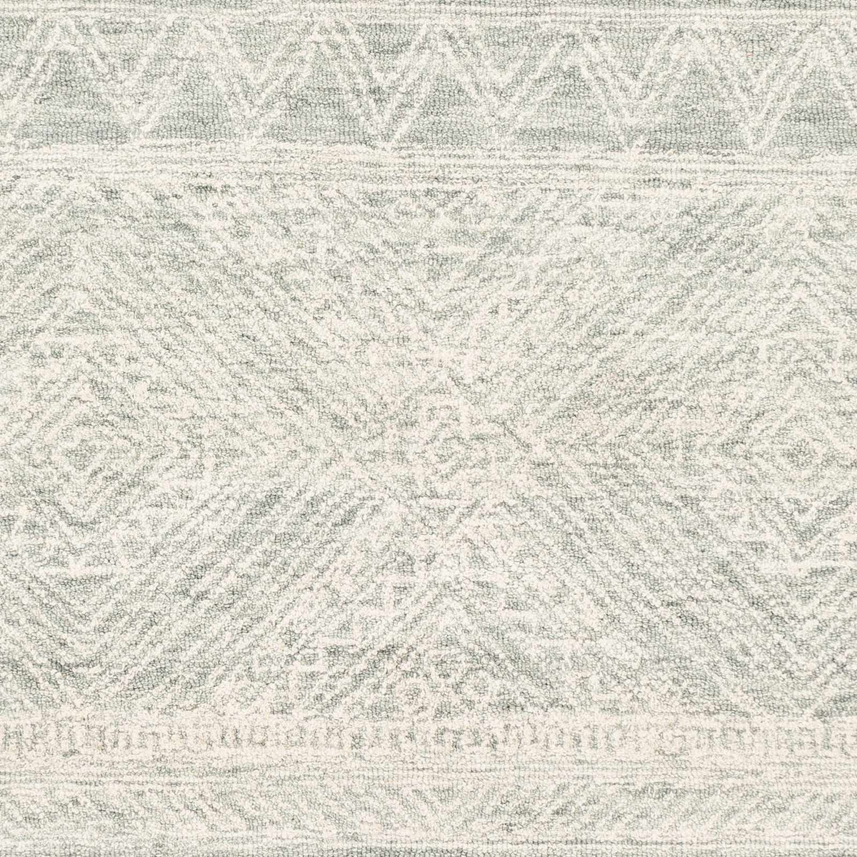 Rugs : NCS-2312