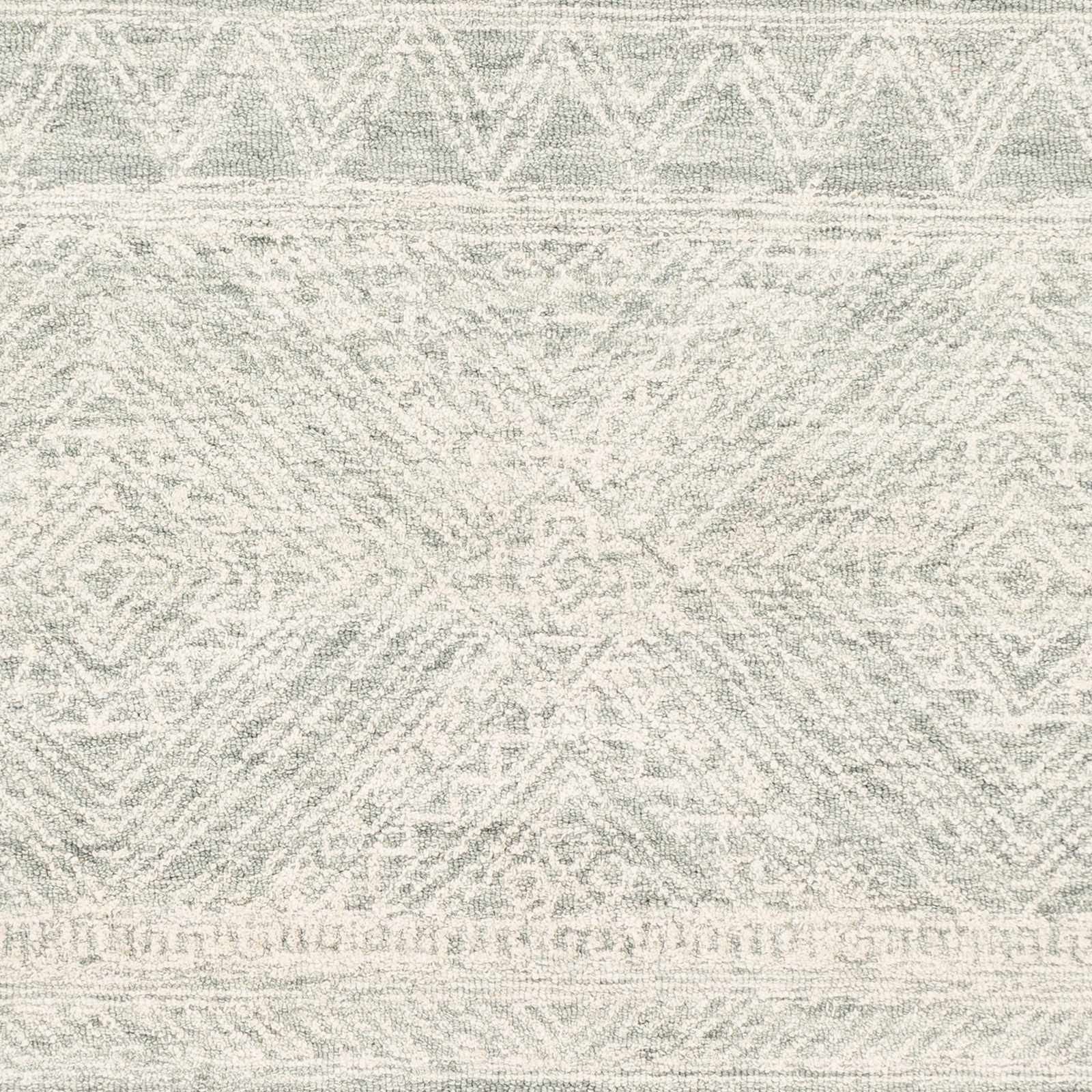 Rugs : NCS-2312