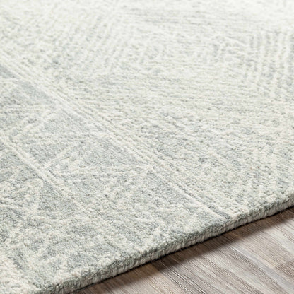 Newcastle NCS-2312 Hand Tufted Rug
