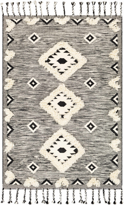 Apache APA-2302 Hand Woven Rug
