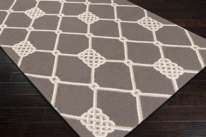 Frontier FT-199 Hand Woven Rug