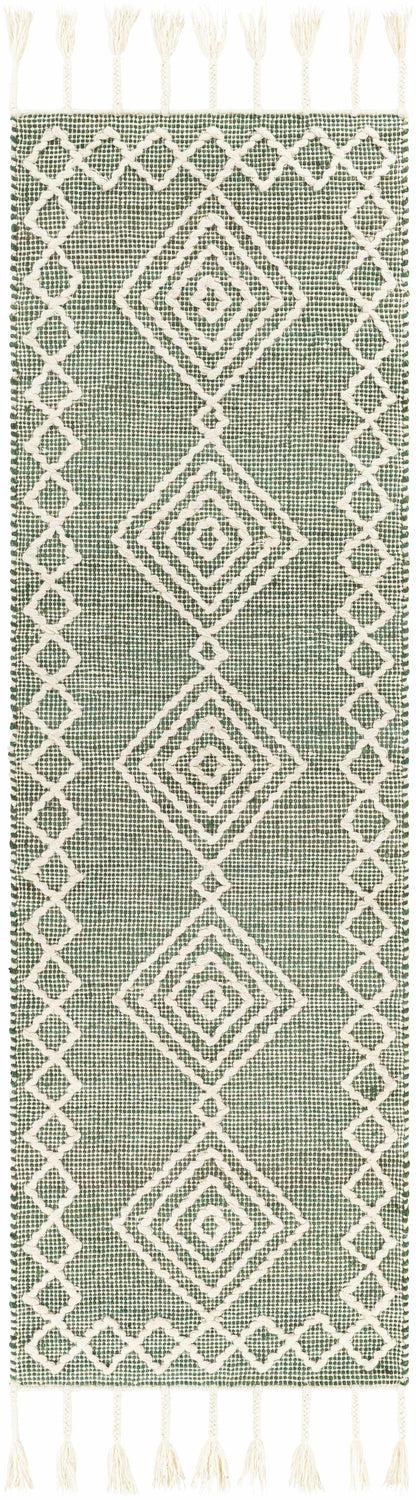 Norwood NWD-2305 Hand Woven Rug