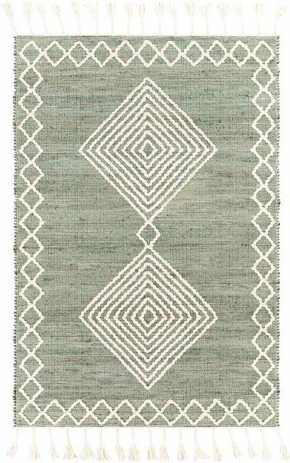 Norwood NWD-2305 Hand Woven Rug