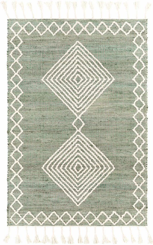 Norwood NWD-2305 Hand Woven Rug
