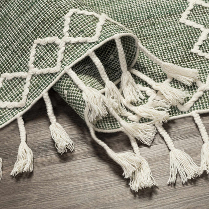 Norwood NWD-2305 Hand Woven Rug