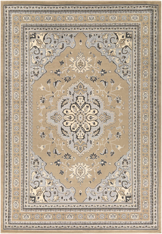 Paramount PAR-1056 Machine Woven Rug