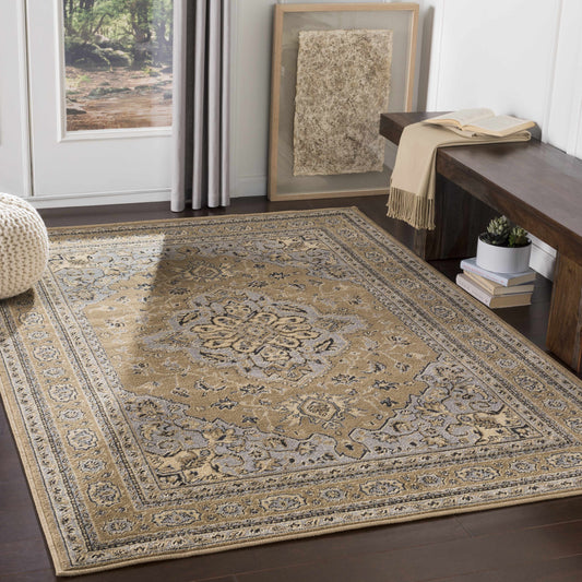 Paramount PAR-1056 Machine Woven Rug