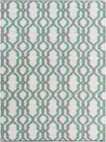 Juniper JNP-5036 Hand Woven Rug