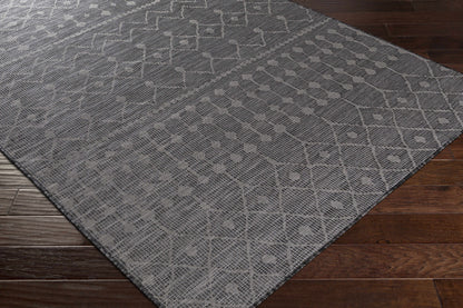 Pasadena PSA-2374 Machine Woven Rug