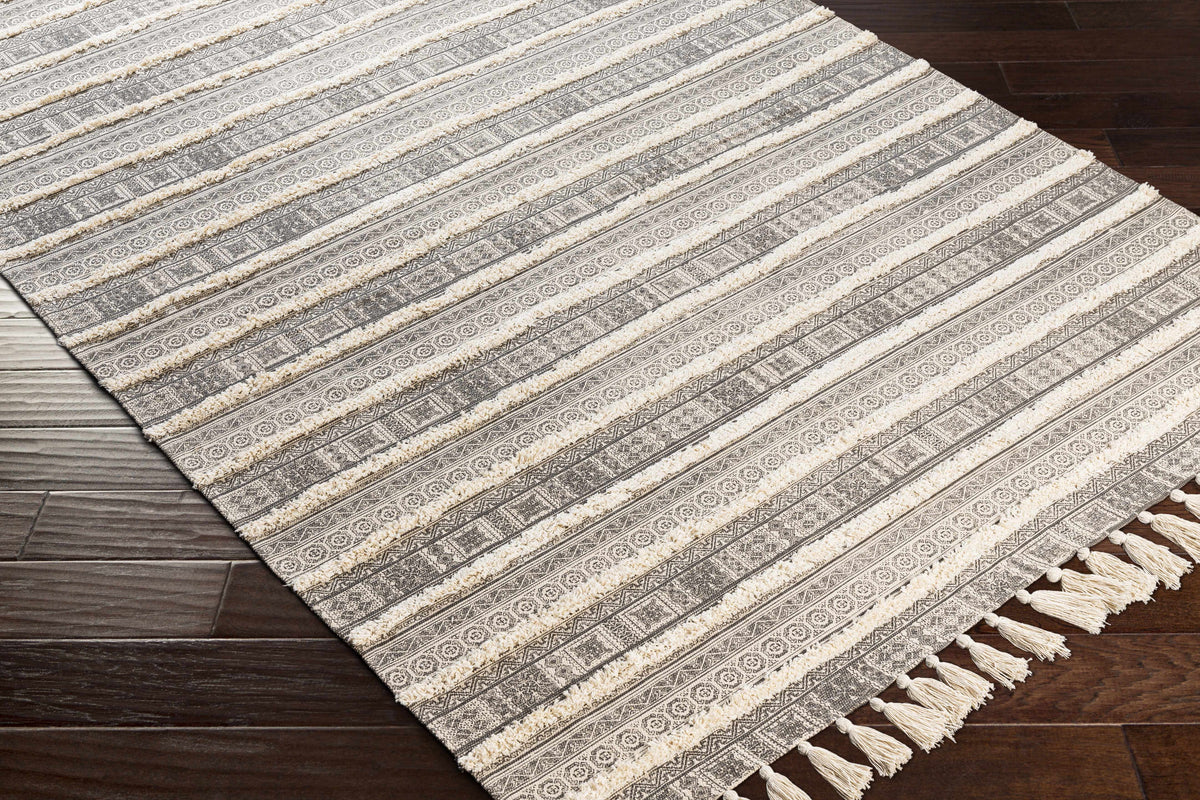 Calisa CLC-2300 Hand Loomed Rug