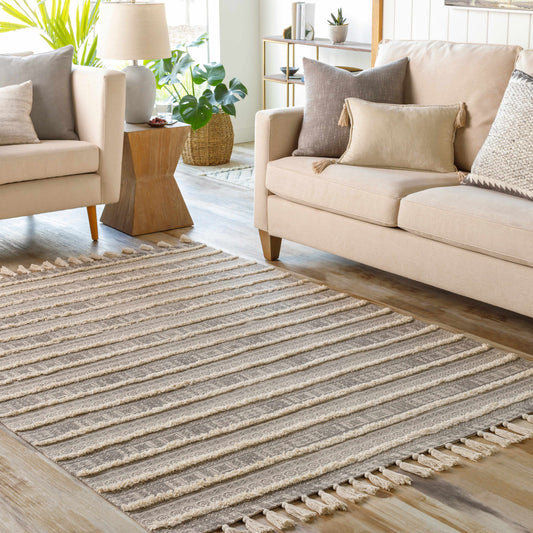 Calisa CLC-2300 Hand Loomed Rug