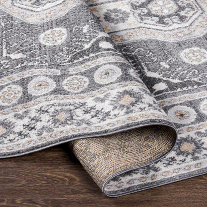 Cesar CEG-2345 Machine Woven Rug