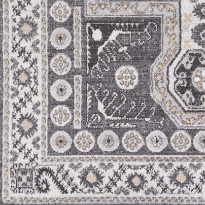 Cesar CEG-2345 Machine Woven Rug