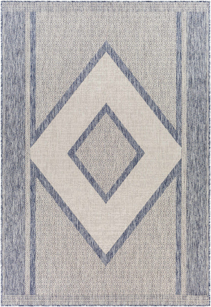 Tuareg TRG-2332 Machine Woven Rug