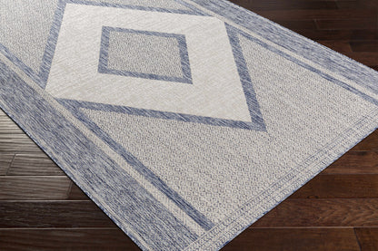 Tuareg TRG-2332 Machine Woven Rug