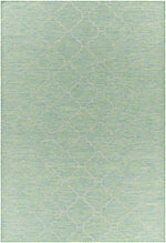 Pasadena PSA-2346 Machine Woven Rug