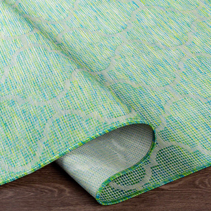 Pasadena PSA-2346 Machine Woven Rug