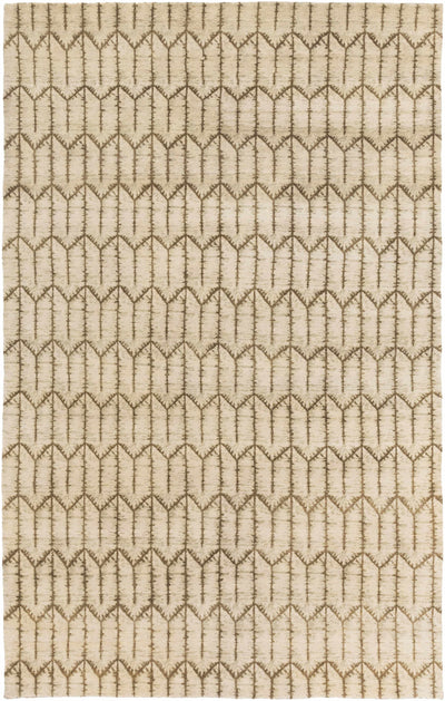 Beige Hand Knotted 100% Wool Modern Rectangle Handmade rug, Indoor use only, no fringe, non-washable.