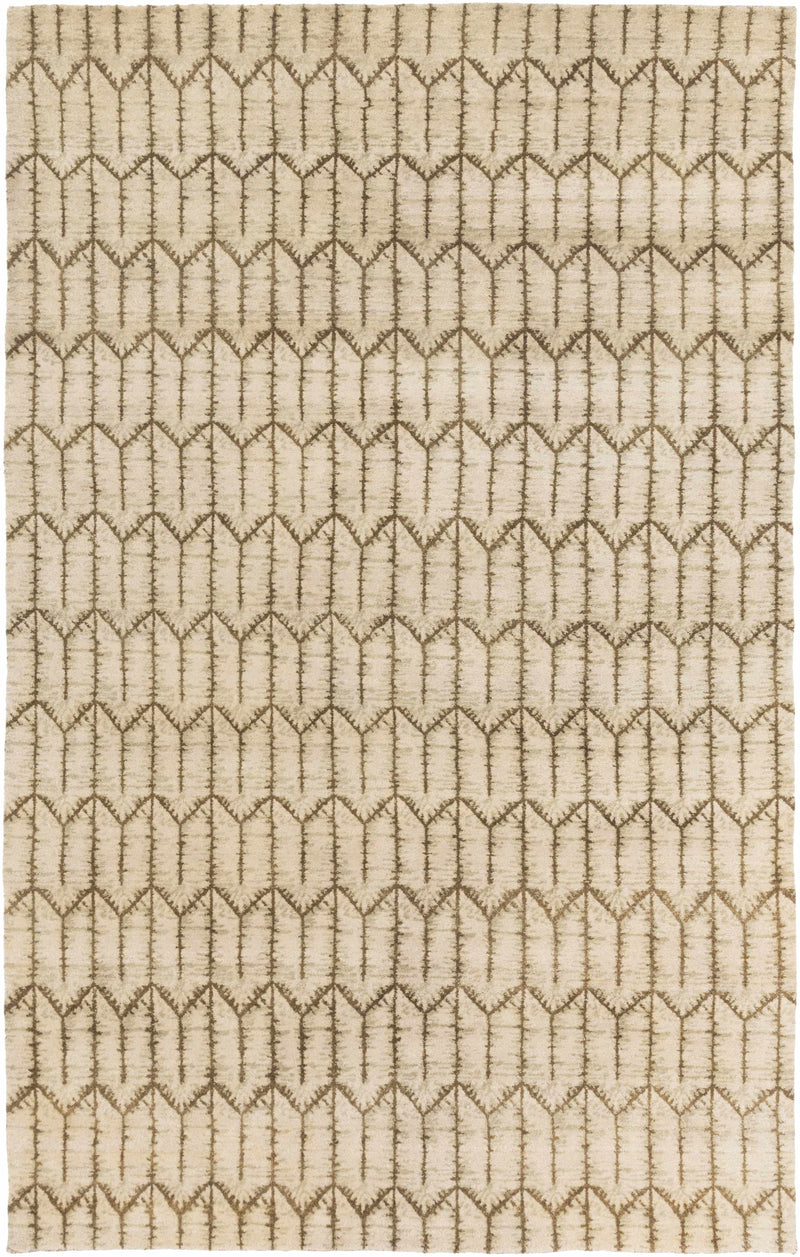 Beige Hand Knotted 100% Wool Modern Rectangle Handmade rug, Indoor use only, no fringe, non-washable.